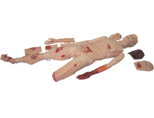 多功能創(chuàng  )傷護理人模型