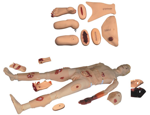 創(chuàng  )傷護理模擬人