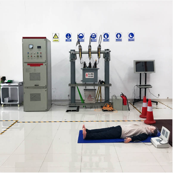 LG-TDG10高壓電工作業(yè)實(shí)操實(shí)訓設備